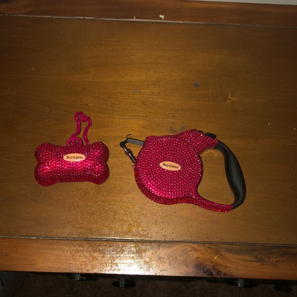 Dog leash and poop bag